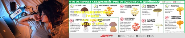 спиды Нефтекумск